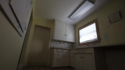 You SEE The ANIMALS - IMG_2116.JPG