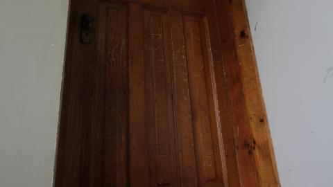 You SEE The ANIMALS - IMG_2104.JPG