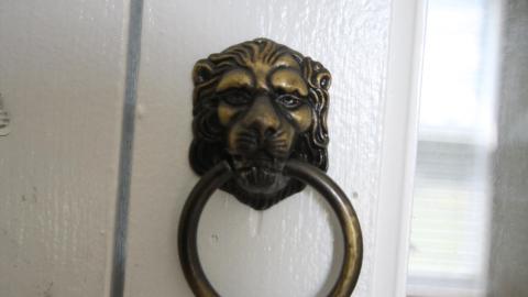 You SEE The ANIMALS - IMG_2096.JPG