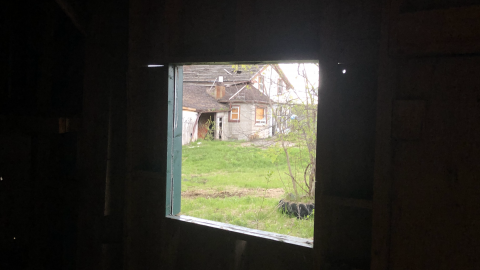 Photo from Goose Wallpaper