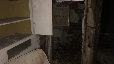 Photo from Goose Wallpaper