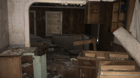 Goose Wallpaper - IMG_2007.png