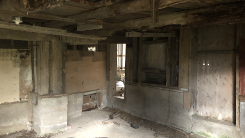 Goose Wallpaper - IMG_1976.png