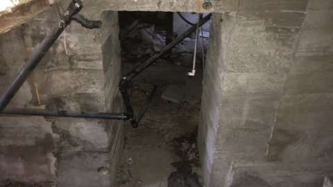 Goose Wallpaper - IMG_2013.png