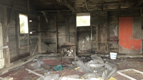 Goose Wallpaper - IMG_1970.png