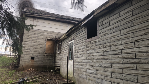 Goose Wallpaper - IMG_1972.png