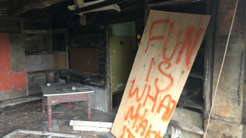 Goose Wallpaper - IMG_1971.png