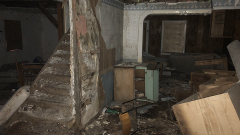 Goose Wallpaper - IMG_2003.png