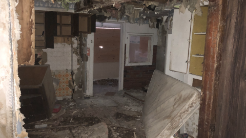 Photo from Goose Wallpaper