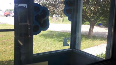 Photo from Another animal caught