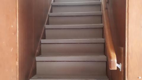 Photo from Another animal caught