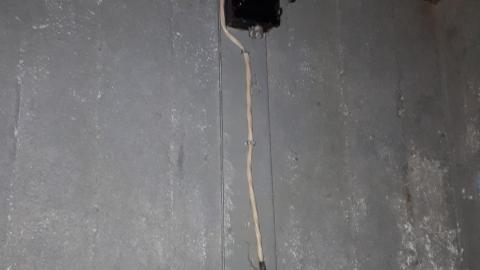 Another animal caught - 20210527_134450.jpg