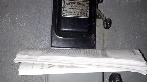 Another animal caught - 20210527_134516.jpg