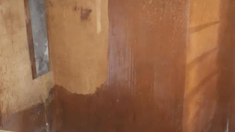 Another animal caught - 20210527_134246.jpg