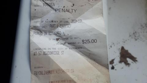 Another animal caught - 20210527_134211.jpg