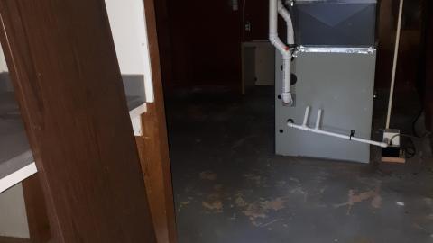 Another animal caught - 20210527_134133.jpg