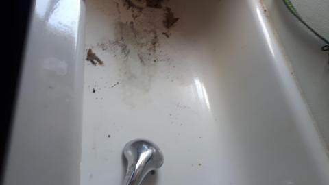 Another animal caught - 20210527_134106.jpg