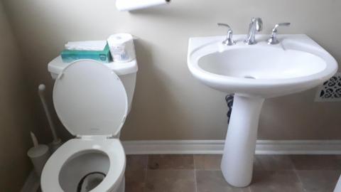 Another animal caught - 20210527_133503.jpg