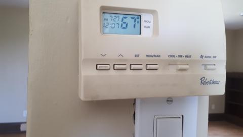 Another animal caught - 20210527_133249.jpg