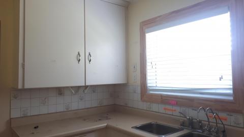 Another animal caught - 20210527_132830.jpg