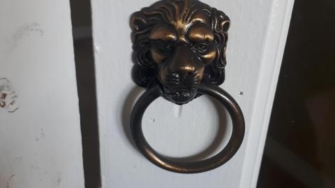 Another animal caught - 20210527_132415.jpg