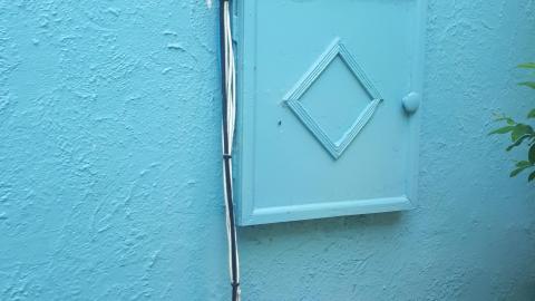 Another animal caught - 20210527_150727.jpg