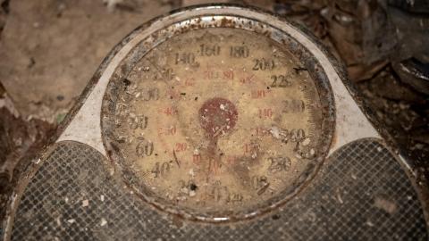 First Look - inner city blight - scarborough ontario abandoned house (23 of 36).jpg