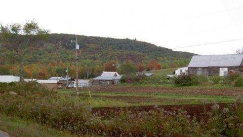 Gallery - Craigmont-(ghost-town)5.jpg