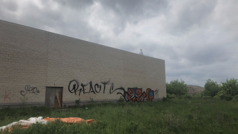 Sniper Birds - IMG_2374.png