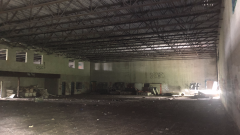 Sniper Birds - IMG_2376.png