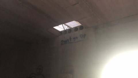 Sniper Birds - IMG_2381.png