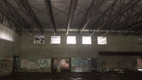 Sniper Birds - IMG_2377.png