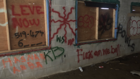 Sniper Birds - IMG_2386.png