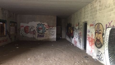 Sniper Birds - IMG_2384.png