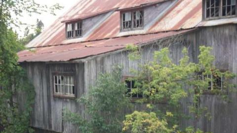 Balaclava - Balaclava-(ghost-town)148.jpg