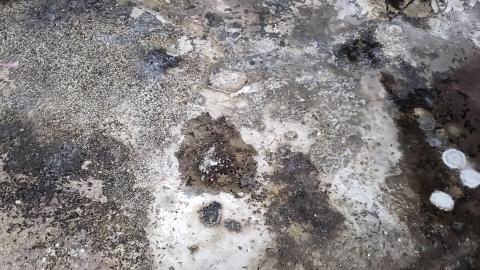 Dead People - 20191124_183524.jpg