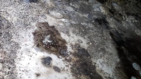 Dead People - 20191124_183512.jpg