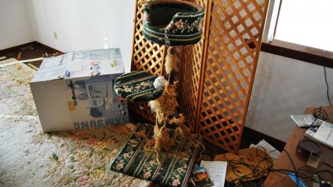 She Died A Lonely Death - March 2013 - 9.jpg