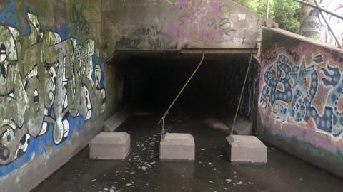 June 2020 - DF53940E-E2CF-420C-8497-F351075B54F4.jpeg