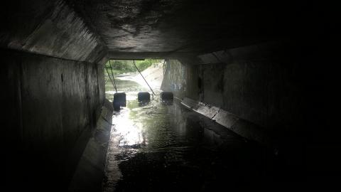 June 2020 - 00CA6DD1-2938-4263-94EA-85EBC73EE356.jpeg