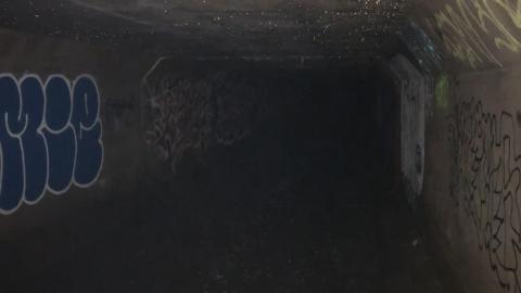 June 2020 - 6FCED746-9028-4EC2-8FD6-9552582A55D2.jpeg