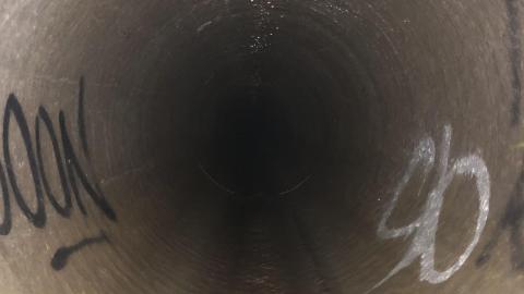 June 2020 - 1D0C015B-B028-41B8-827F-0669F08EABCB.jpeg