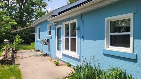 Photo from Pioneer Pets