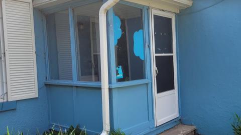 Photo from Pioneer Pets