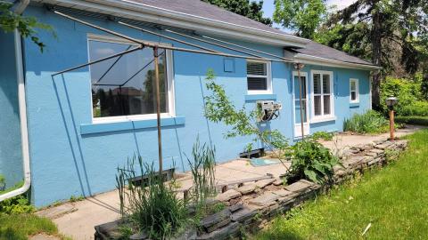 Photo from Pioneer Pets