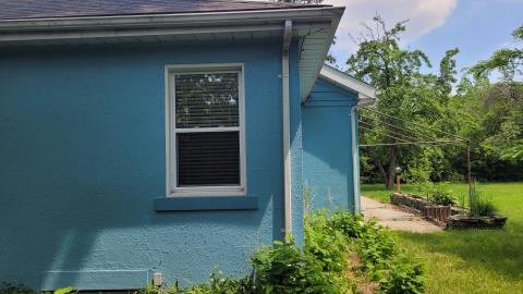 Pioneer Pets - 193056609_150323370417331_2524004823635694210_n.jpg