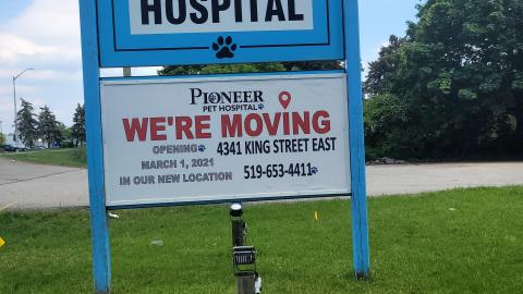 Pioneer Pets - 194003033_392599602000000_8002209842191971077_n.jpg