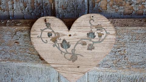 No Airplanes Nov '20 - DSC09068.JPG