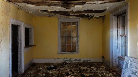 No Airplanes Nov '20 - DSC09088.JPG