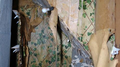 Photo from No Airplanes Nov '20